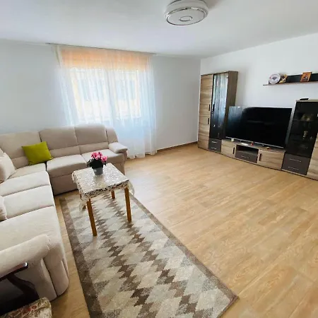 Andrei's House