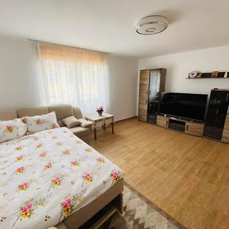 Andrei's House * Sibiu