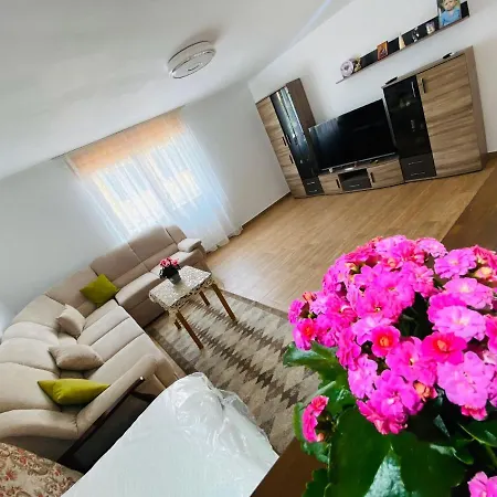 Andrei's House Apartment
