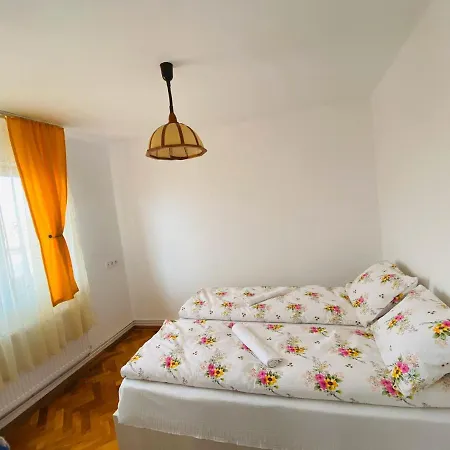 Andrei's House