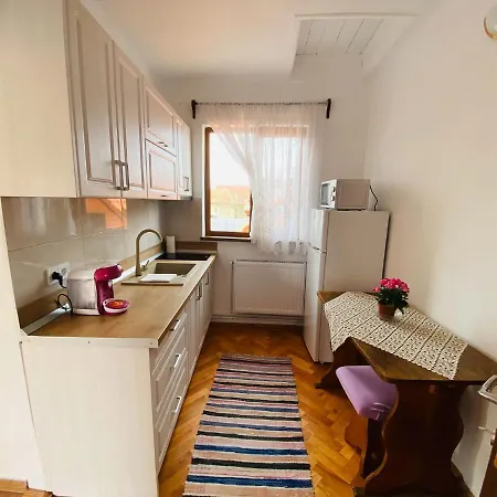 Andrei's House Sibiu