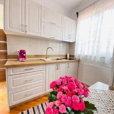 Andrei's House Apartment