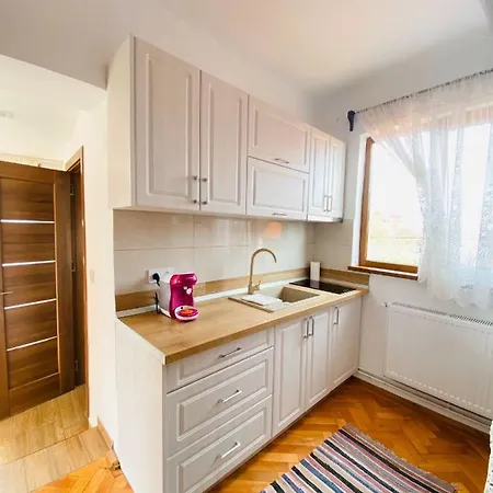 Apartment Andrei's House Sibiu