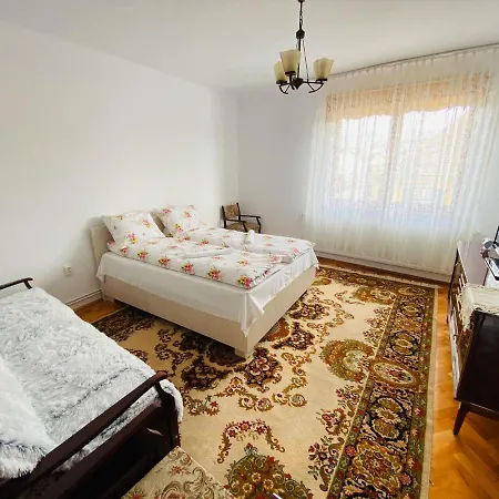Andrei's House